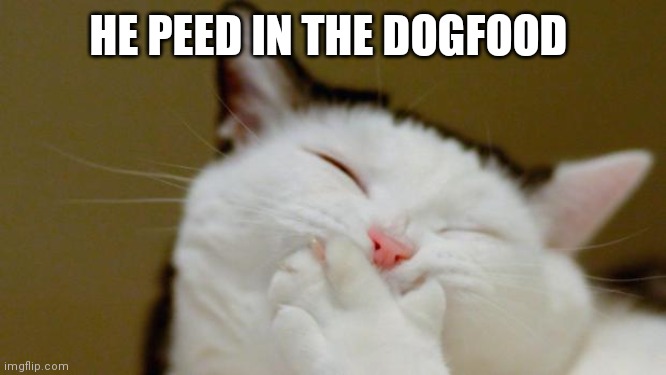 Laughing Cat | HE PEED IN THE DOGFOOD | image tagged in laughing cat | made w/ Imgflip meme maker