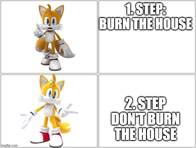 tails meme | 1. STEP: BURN THE HOUSE; 2. STEP DON'T BURN THE HOUSE | image tagged in drake meme tails | made w/ Imgflip meme maker
