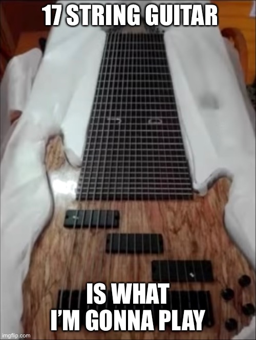 Deathcore ain't got shit on what I’m gonna invent | 17 STRING GUITAR; IS WHAT I’M GONNA PLAY | image tagged in third world skeptical kid | made w/ Imgflip meme maker