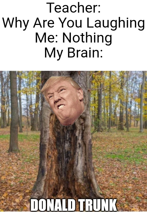 He's A Tree Now. | Teacher: Why Are You Laughing
Me: Nothing
My Brain:; DONALD TRUNK | image tagged in rotten tree | made w/ Imgflip meme maker