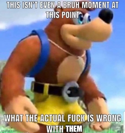 this isn't even a bruh moment at this point | THEM | image tagged in this isn't even a bruh moment at this point | made w/ Imgflip meme maker
