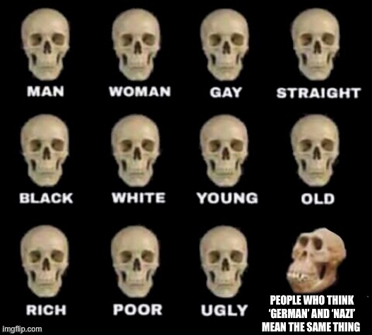 idiot skull | PEOPLE WHO THINK ‘GERMAN’ AND ‘NAZI’ MEAN THE SAME THING | image tagged in idiot skull | made w/ Imgflip meme maker