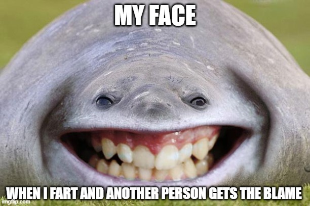 My face | MY FACE; WHEN I FART AND ANOTHER PERSON GETS THE BLAME | image tagged in my face,memes,so true,funny,haha,lol | made w/ Imgflip meme maker