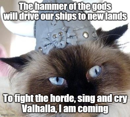The hammer of the gods
will drive our ships to new lands To fight the horde, sing and cry
Valhalla, I am coming | made w/ Imgflip meme maker