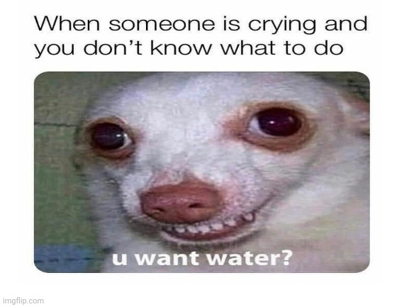 Oof | image tagged in awkward | made w/ Imgflip meme maker