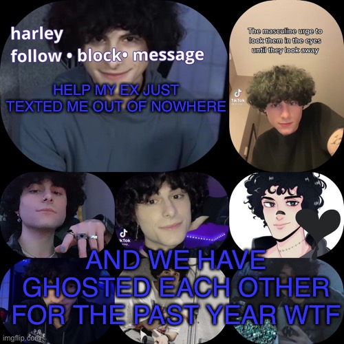 arnyyyyy | HELP MY EX JUST TEXTED ME OUT OF NOWHERE; AND WE HAVE GHOSTED EACH OTHER FOR THE PAST YEAR WTF | image tagged in arnyyyyy | made w/ Imgflip meme maker