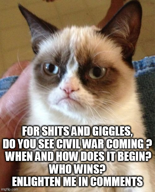 Grumpy Cat Meme | FOR SHITS AND GIGGLES, DO YOU SEE CIVIL WAR COMING ?
 WHEN AND HOW DOES IT BEGIN?
 WHO WINS? 
ENLIGHTEN ME IN COMMENTS | image tagged in memes,grumpy cat | made w/ Imgflip meme maker