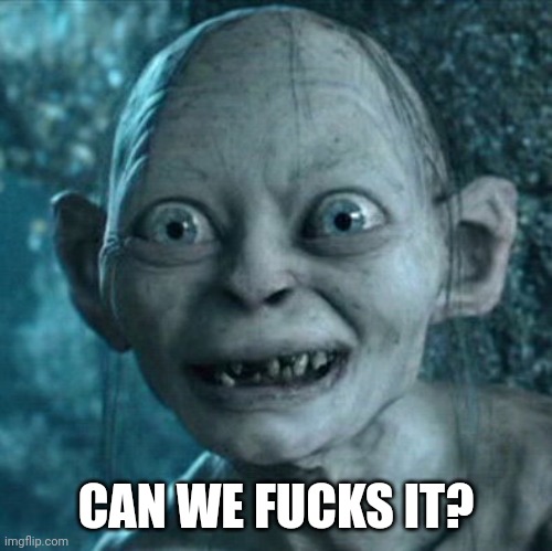 Gollum Meme | CAN WE FUCKS IT? | image tagged in memes,gollum | made w/ Imgflip meme maker