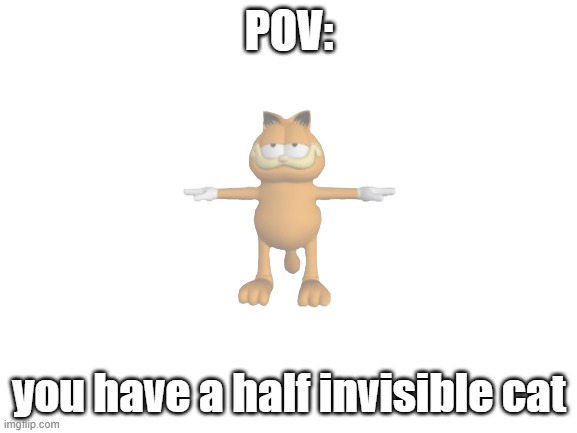 Blank White Template | POV:; you have a half invisible cat | image tagged in blank white template | made w/ Imgflip meme maker