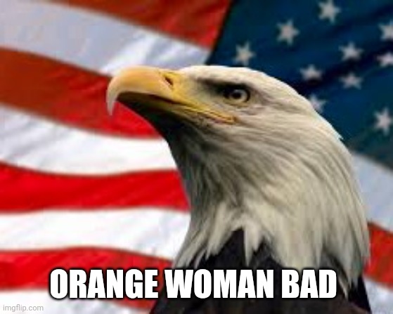 Murica Patriotic Eagle | ORANGE WOMAN BAD | image tagged in murica patriotic eagle | made w/ Imgflip meme maker