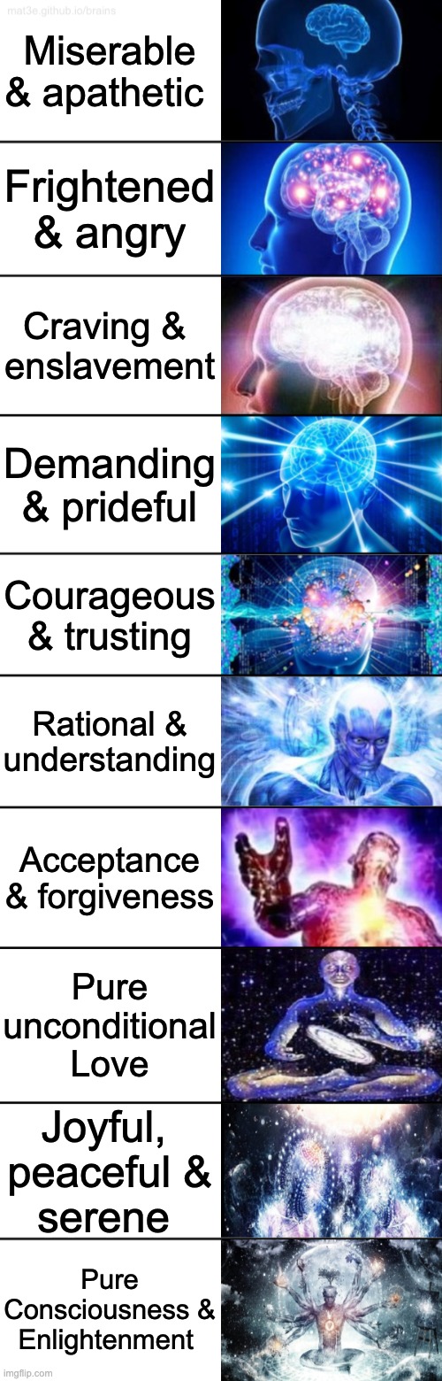 Levels of Consciousness | Miserable & apathetic; Frightened & angry; Craving & 
enslavement; Demanding & prideful; Courageous & trusting; Rational & understanding; Acceptance & forgiveness; Pure
unconditional
Love; Joyful, 
peaceful &
serene; Pure Consciousness & Enlightenment | image tagged in 10-tier expanding brain | made w/ Imgflip meme maker