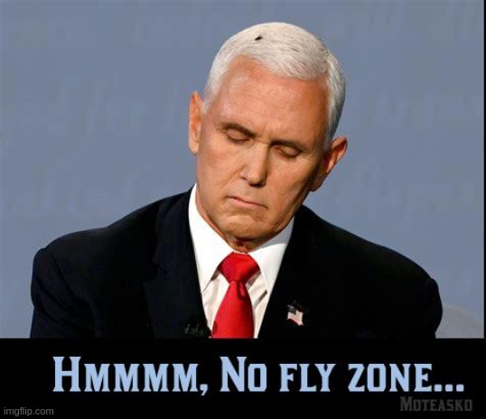 No fly zone... | image tagged in mike pence,fly,no fly zone,buzzed | made w/ Imgflip meme maker