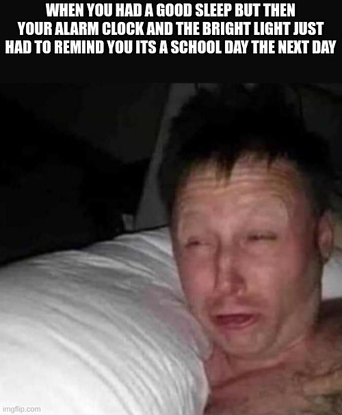 Sleepy guy | WHEN YOU HAD A GOOD SLEEP BUT THEN YOUR ALARM CLOCK AND THE BRIGHT LIGHT JUST HAD TO REMIND YOU ITS A SCHOOL DAY THE NEXT DAY | image tagged in sleepy guy | made w/ Imgflip meme maker