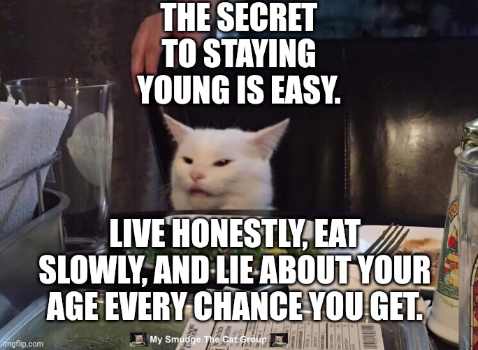 THE SECRET TO STAYING YOUNG IS EASY. LIVE HONESTLY, EAT SLOWLY, AND LIE ABOUT YOUR AGE EVERY CHANCE YOU GET. | image tagged in smudge the cat,smudge | made w/ Imgflip meme maker