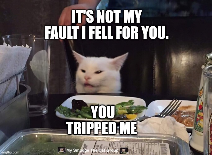  IT'S NOT MY FAULT I FELL FOR YOU. YOU TRIPPED ME | image tagged in smudge the cat,smudge | made w/ Imgflip meme maker