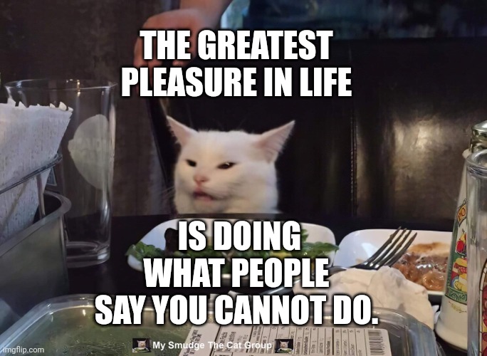  THE GREATEST PLEASURE IN LIFE; IS DOING WHAT PEOPLE SAY YOU CANNOT DO. | image tagged in smudge the cat,smudge | made w/ Imgflip meme maker