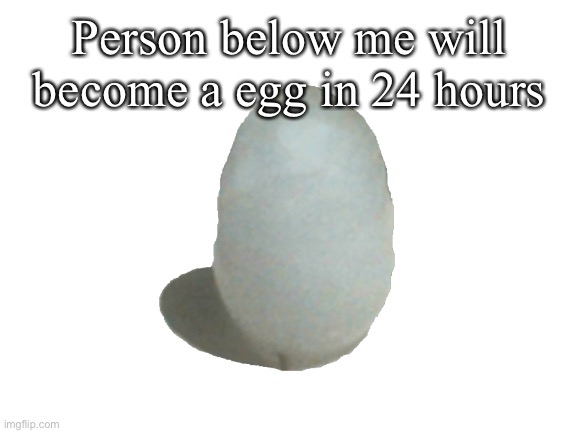Blank White Template | Person below me will become a egg in 24 hours | made w/ Imgflip meme maker