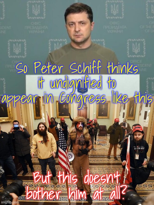 He said the Democrats in Congress are worse than rioters. | So Peter Schiff thinks it undignified to appear in Congress like this; But this doesn't bother him at all? | image tagged in zelensky,capitol buffalo guy,twisted,conservative logic | made w/ Imgflip meme maker