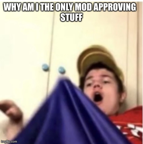 Alfaoxtrot mega boner | WHY AM I THE ONLY MOD APPROVING  
STUFF | image tagged in alfaoxtrot mega boner | made w/ Imgflip meme maker