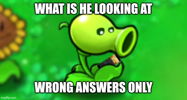 WHAT IS HE LOOKING AT; WRONG ANSWERS ONLY | made w/ Imgflip meme maker