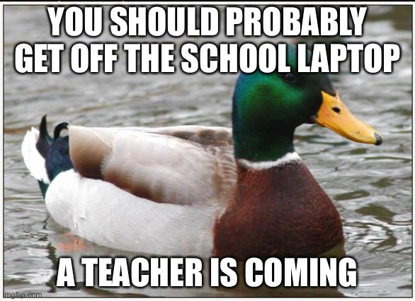 Meme with template starting with the letter: A | YOU SHOULD PROBABLY GET OFF THE SCHOOL LAPTOP; A TEACHER IS COMING | image tagged in memes,actual advice mallard | made w/ Imgflip meme maker