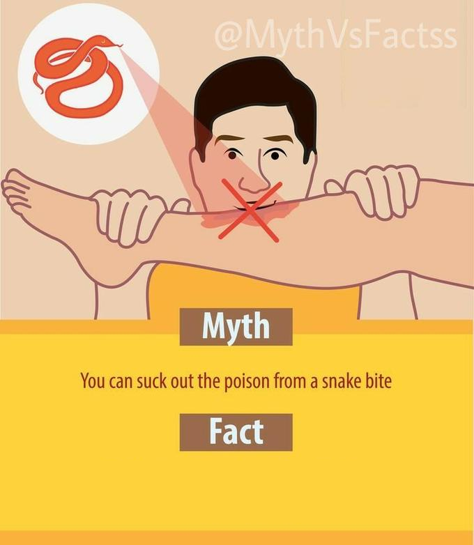 Myth vs Fact Blank Meme Template