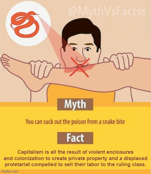 Fact: Capitalism is not a voluntary system. | Capitalism is all the result of violent enclosures and colonization to create private property and a displaced proletariat compelled to sell their labor to the ruling class. | image tagged in myth vs fact,capitalism,anti-capitalist,socialism,communism,anarchism | made w/ Imgflip meme maker