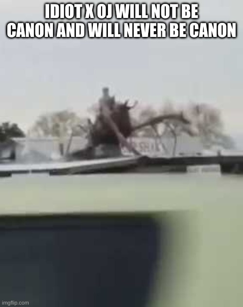 IS THAT A MAN RIDING A SHRIMP | IDIOT X OJ WILL NOT BE CANON AND WILL NEVER BE CANON | image tagged in is that a man riding a shrimp | made w/ Imgflip meme maker