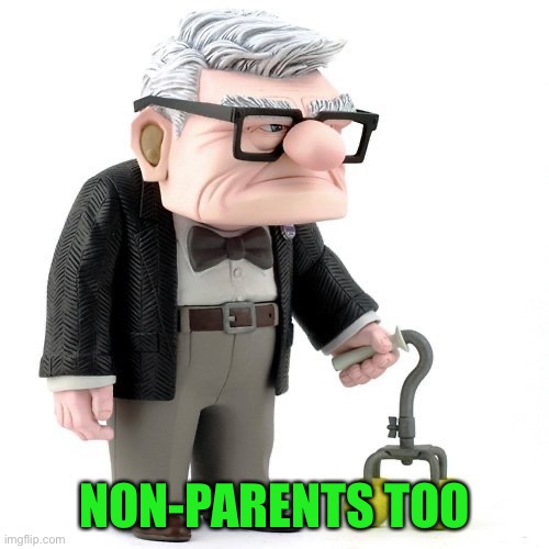 Carl Fredricksen | NON-PARENTS TOO | image tagged in carl fredricksen | made w/ Imgflip meme maker