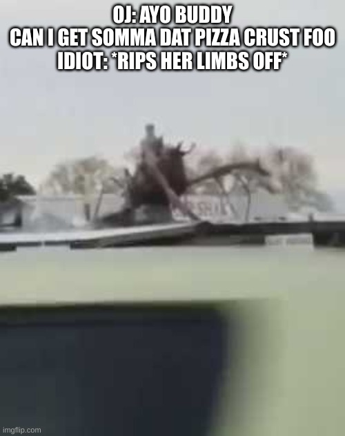 IS THAT A MAN RIDING A SHRIMP | OJ: AYO BUDDY
CAN I GET SOMMA DAT PIZZA CRUST FOO
IDIOT: *RIPS HER LIMBS OFF* | image tagged in is that a man riding a shrimp | made w/ Imgflip meme maker