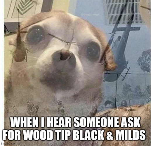 PTSD Chihuahua |  WHEN I HEAR SOMEONE ASK FOR WOOD TIP BLACK & MILDS | image tagged in ptsd chihuahua | made w/ Imgflip meme maker