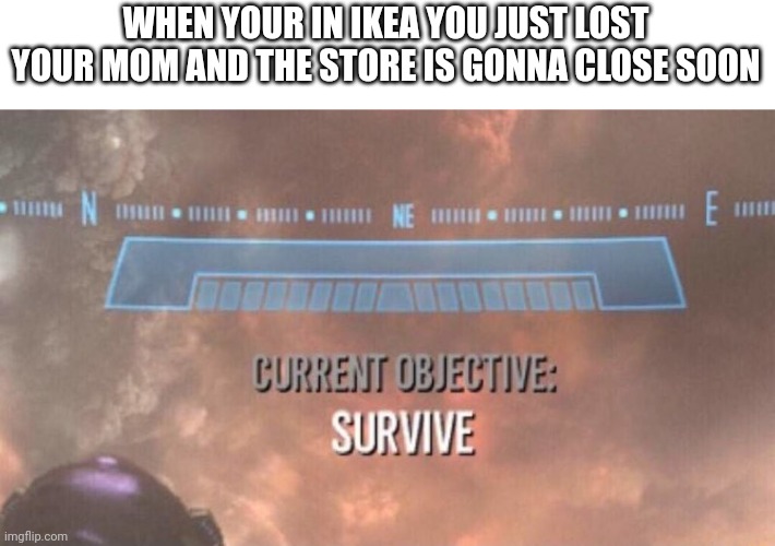 Live or die | WHEN YOUR IN IKEA YOU JUST LOST YOUR MOM AND THE STORE IS GONNA CLOSE SOON | image tagged in current objective survive,ikea,memes,lost | made w/ Imgflip meme maker