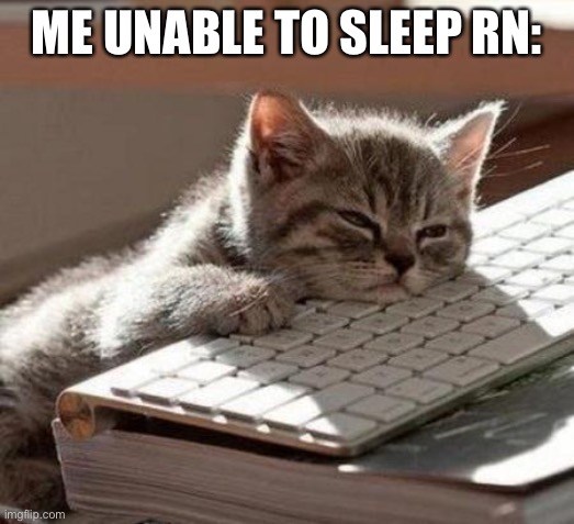 Hhhhhhh | ME UNABLE TO SLEEP RN: | image tagged in tired cat,fun,cats,no,tired | made w/ Imgflip meme maker