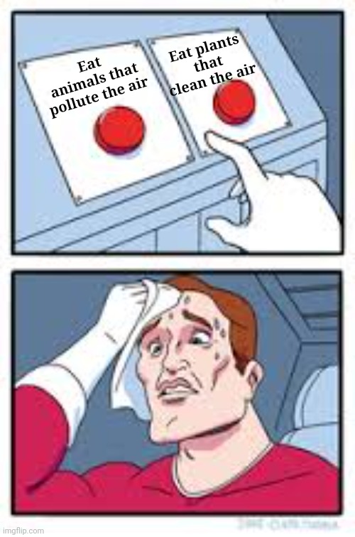 Eat animals that pollute the air Eat plants that clean the air | image tagged in what do i choose | made w/ Imgflip meme maker