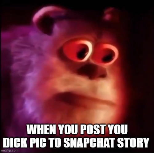 Monster inc. | WHEN YOU POST YOU DICK PIC TO SNAPCHAT STORY | image tagged in monster inc | made w/ Imgflip meme maker