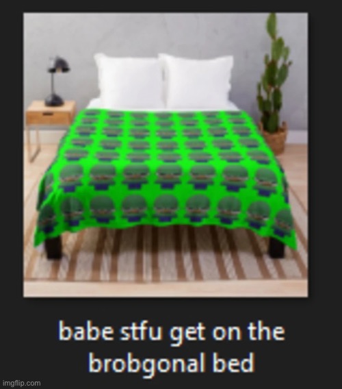 stfu get on the brobgonal bed | image tagged in brobgonal | made w/ Imgflip meme maker