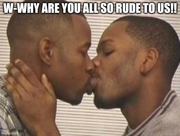 fwurry pwide!~ >:3 | W-WHY ARE YOU ALL SO RUDE TO US!! | image tagged in 2 gay black mens kissing | made w/ Imgflip meme maker