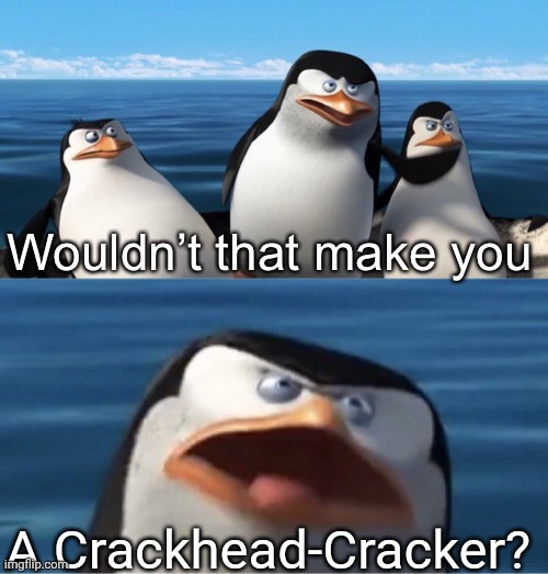 Wouldn’t that make you | A Crackhead-Cracker? | image tagged in wouldn t that make you | made w/ Imgflip meme maker