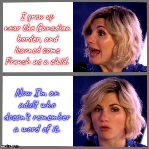 Too bad. |  I grew up near the Canadian border, and learned some French as a child. Now I'm an adult who doesn't remember a word of it. | image tagged in just jodie,language,i think i forgot something | made w/ Imgflip meme maker