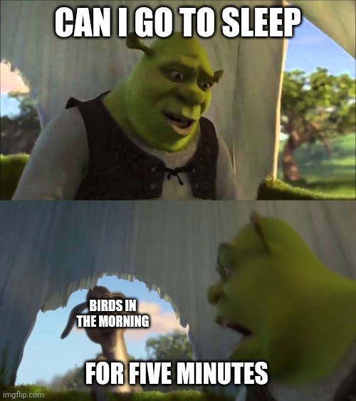 We all need our sleep |  CAN I GO TO SLEEP; BIRDS IN THE MORNING; FOR FIVE MINUTES | image tagged in shrek five minutes,relatable | made w/ Imgflip meme maker