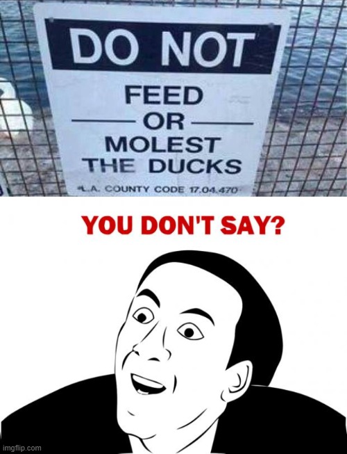 image tagged in memes,you don't say | made w/ Imgflip meme maker