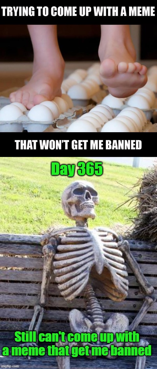 Day 365; Still can't come up with a meme that get me banned | image tagged in memes,waiting skeleton,feet | made w/ Imgflip meme maker
