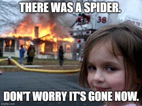 Disaster Girl Meme | THERE WAS A SPIDER. DON'T WORRY IT'S GONE NOW. | image tagged in memes,disaster girl | made w/ Imgflip meme maker