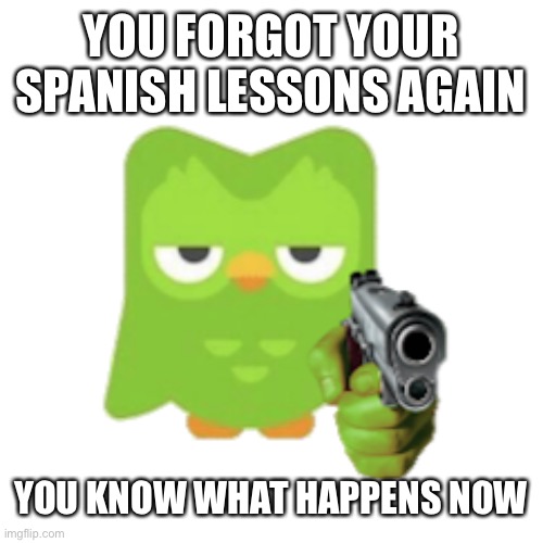 Duolingo Spanish lessons | YOU FORGOT YOUR SPANISH LESSONS AGAIN; YOU KNOW WHAT HAPPENS NOW | image tagged in duolingo,duolingo gun | made w/ Imgflip meme maker