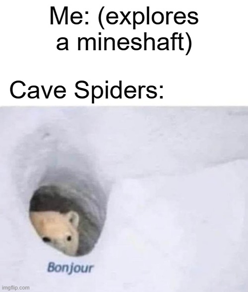 bonjo | Me: (explores a mineshaft); Cave Spiders: | image tagged in bonjour,minecraft | made w/ Imgflip meme maker