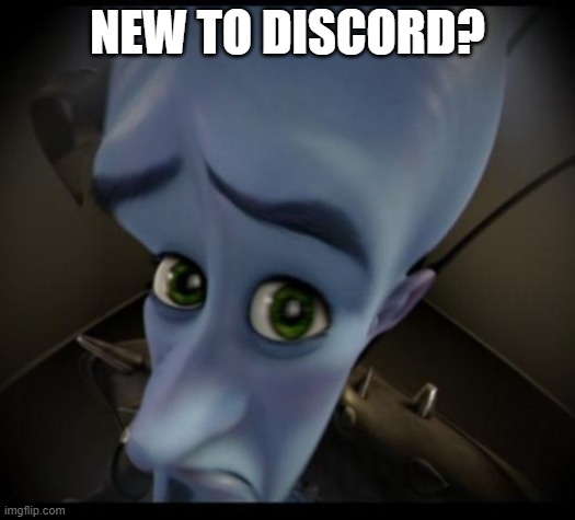new to discord? | NEW TO DISCORD? | image tagged in no bitches | made w/ Imgflip meme maker