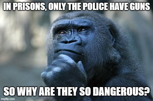 Deep Thoughts | IN PRISONS, ONLY THE POLICE HAVE GUNS SO WHY ARE THEY SO DANGEROUS? | image tagged in deep thoughts | made w/ Imgflip meme maker