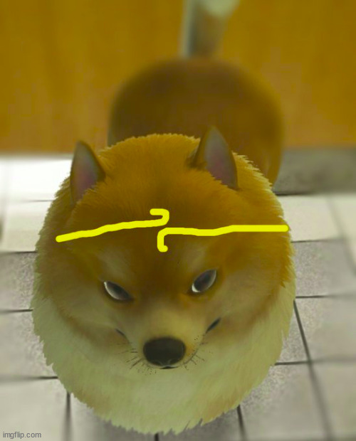 doge | made w/ Imgflip meme maker