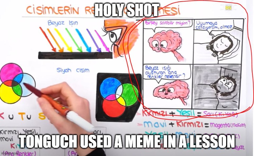 holy shot | HOLY SHOT; TONGUCH USED A MEME IN A LESSON | image tagged in flushed,tonguch | made w/ Imgflip meme maker