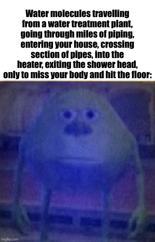 Water molecules travelling from a water treatment plant, going through miles of piping, entering your house, crossing section of pipes, into the heater, exiting the shower head, only to miss your body and hit the floor: | image tagged in sully wazowski | made w/ Imgflip meme maker